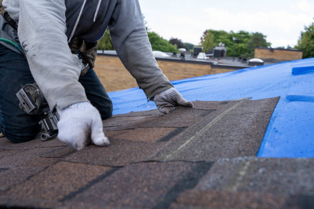 Residential Roof Replacement in Fowler, MI