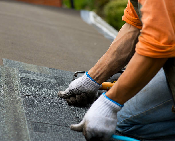 Best Sealant for Roof  in Fowler, MI